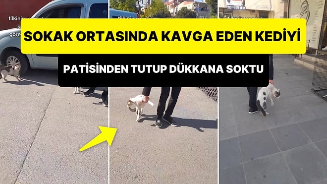 Sokak Ortasında Kavga Eden Kediyi Patisinden Tutup Dükkana Sokan Adam: 'Benim Senden Çektiğim Nedir?'