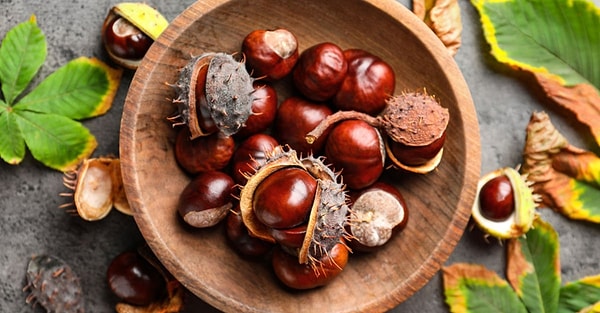 At kestanesi aynı zamanda güvelere karşı da son derece etkili.