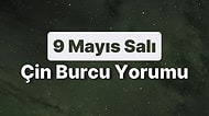 9 Mayıs Salı Çin Burcuna Göre Günün Nasıl Geçecek?