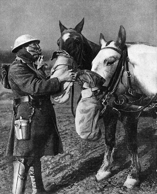 10. Dünya Savaşı sırasında atlara takılan gaz maskesi 👇