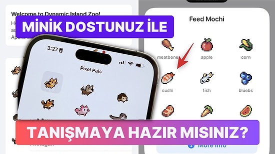 iPhone 14 Pro'nuzun Ekranında Sevimli Bir Sanal Hayvana Bakıcılık Yapabileceğinizi Biliyor muydunuz?