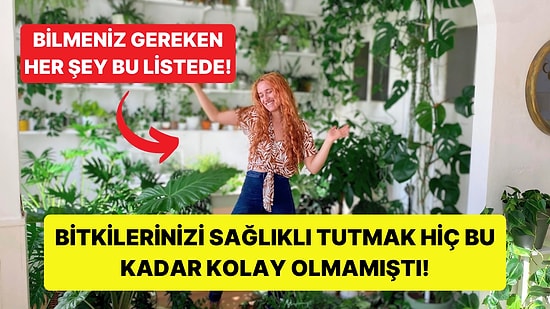 Sağlıklı ve Canlı Bitkiler için Nelere Dikkat Etmelisiniz?