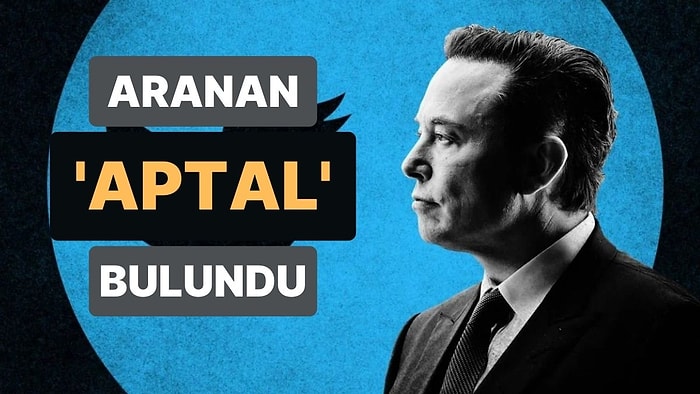 Elon Musk Twitter CEO'luğunu Bırakıyor