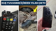 Çöle Düşse Kutup Ayılarıyla Karşılaşıp Birtakım Tatsız Olaylar Yaşayabilecek 15 Bahtsız Kişi