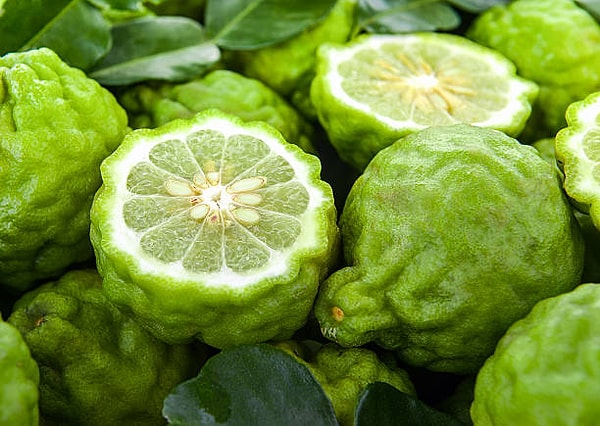 3. Bergamot: