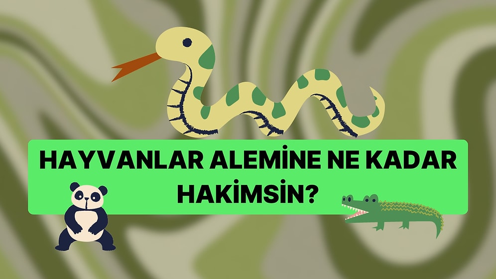 Hayvanlar Alemine Ne Kadar Hakimsin?