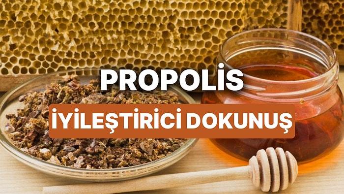 Propolisin Faydaları Nelerdir? Arılar Tarafından Üretilen Şifalı Madde Propolis Nedir, Nasıl Kullanılır?