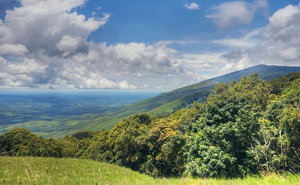 15. Какая страна, расположенная в Центральной Африке, раньше называлась Республикой Заир?
