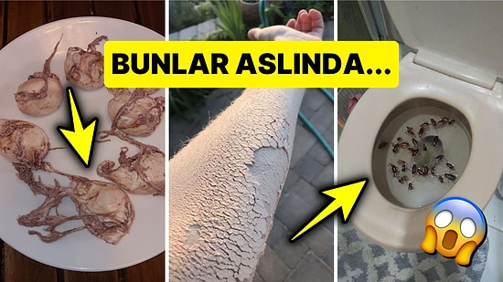 İnternetin Karanlık Köşelerinden Sonsuza Dek Hafızanıza Yerleşip Uykularınızı Kaçıracak 15 Tuhaf Görsel