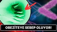 Düşman Aslında İçimizde: Kilo Almamızın Yeni Bir Nedeni Bulundu!