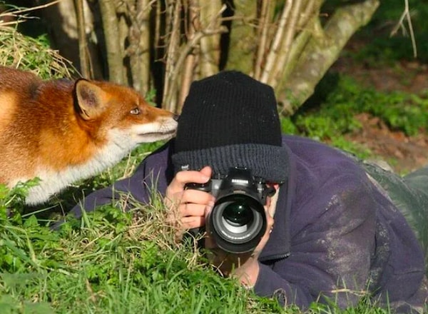 3. А слона-то он и не заметил!