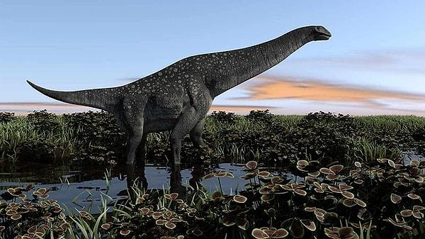 1. Ocak: Hindistan'da bir paleontolog ekibi, bilinen en büyük dinozor türü olan Titanozorlara ait 256 adet fosilleşmiş yumurta keşfetti.
