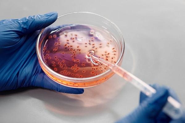 Hastalık Kontrol ve Önleme  Merkezlerine göre, bakteriler ayrıca enfeksiyonlara veya semptomlara neden olmadan bir hastada "kolonize olabilir" veya yaşayabilir.