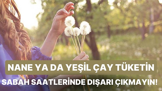 Polen Alerjisinden Dolayı Bahar Aylarını Hapşırarak Geçiren Kişilerin Derdine Derman Olacak Yöntemler