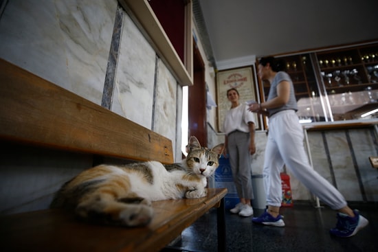 Seçim Sonuçları Saat Kaçta Açıklanacak? YSK Başkanı'ndan İlk Bilgi