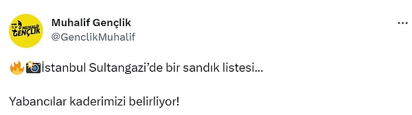 İstanbul'un yoğun göç alan bir bölgesinden de paylaşılan sandık listesinde doğum yerleri ilgi çekti.