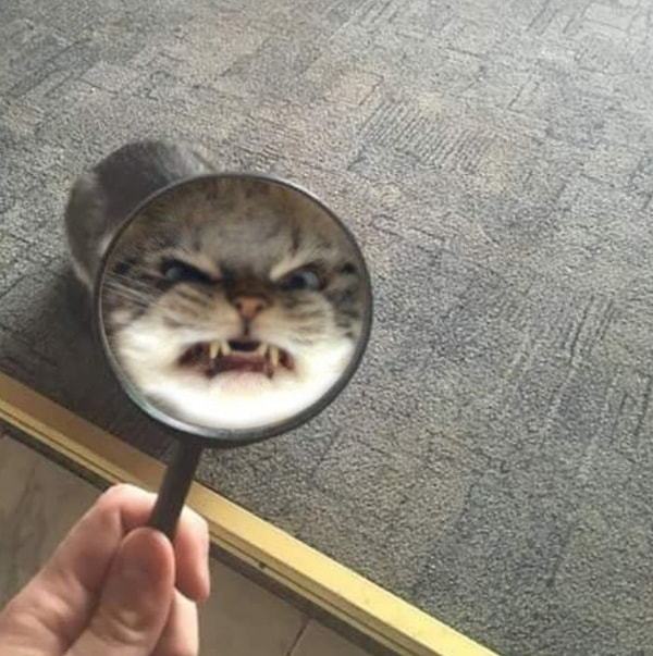 16. Я бы от него отошла подальше...