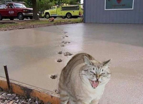 25. «Шалость удалась, кхе-кхе»