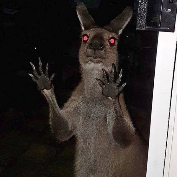 30. «Милый, тут за тобой пришли»