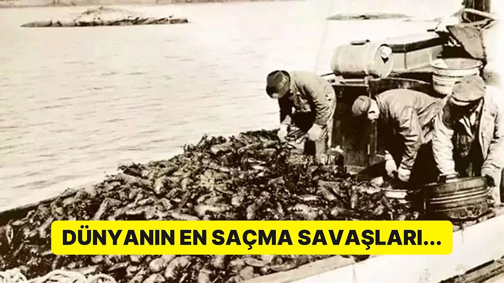 Tek Bir Kurşun Dahi Atmadan Savaşmışlar! Kimsenin Ölmediği 10 Tuhaf Savaş