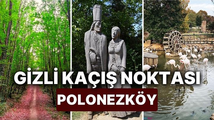 Polonezköy'de Gezilecek Yerler: İstanbul’da Doğayla İç İçe Huzur Dolu Tabiat Parkı Polonezköy Gezi Rehberi