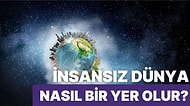 Bütün İnsanlar Yok Olduğu Zaman Dünya Nasıl Bir Yer Olacak?