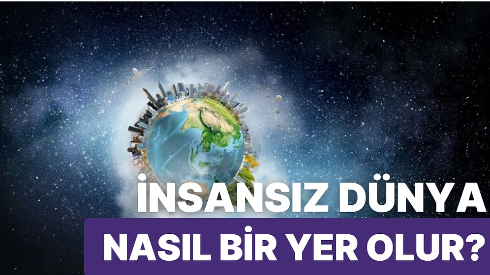 Bütün İnsanlar Yok Olduğu Zaman Dünya Nasıl Bir Yer Olacak?