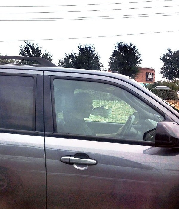 5. «Остановился на светофоре и увидел мужчину с кроссовком во рту»