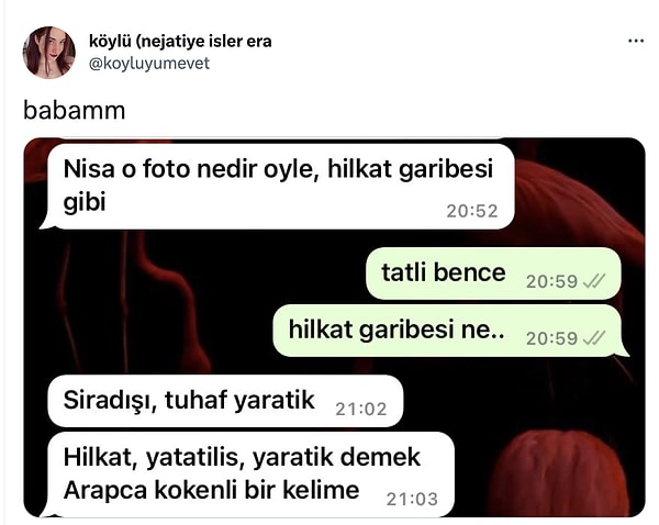 7. "Hilkat garibesi..."