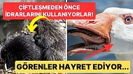 Doğanın Korkutucu Yüzünü İliklerinize Kadar Hissetmenize Sebep Olacak Birbirinden Ürkütücü 15 Yeni Fotoğraf