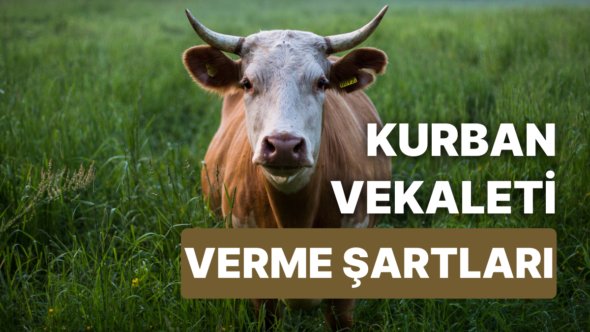 Kurban Vekaleti Nasıl Verilir, Kimlere Verilir? Kurban Vekaleti ...