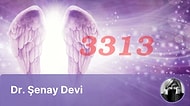 Haftanın Numerolojik Sayısı 3313 Sembolizmi ve Anlamı