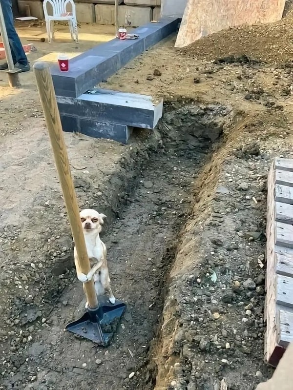 10. Он так напуган...