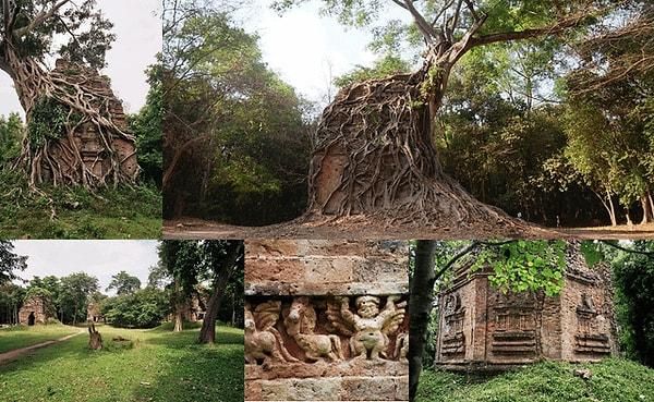 5. Kamboçya'da yüzlerce yıldır yüzden fazla Hindu tapınağı bu orman tarafından yavaş yavaş yutuluyor 👇
