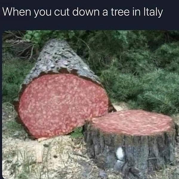7. İtalya'da herhangi bir ağacı keserseniz içinden salam çıkıyormuş...