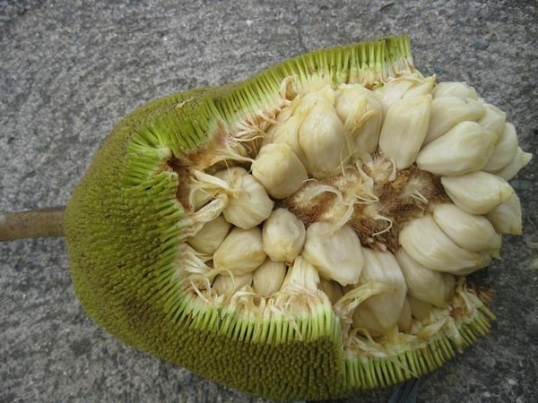 4. А у этого экзотического фрукта какое название?