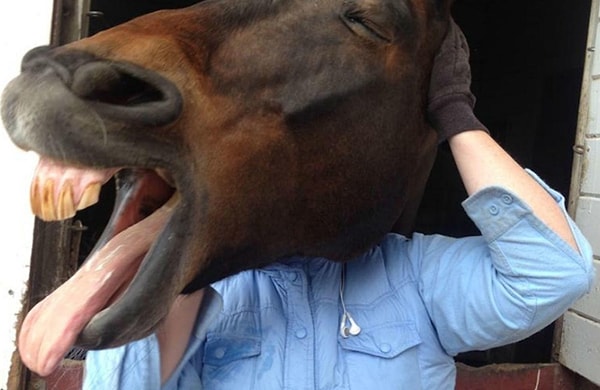 19. Всем привет!