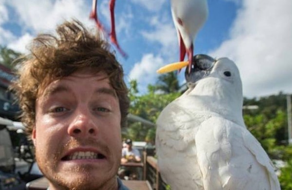 23. «А ну отдай!»