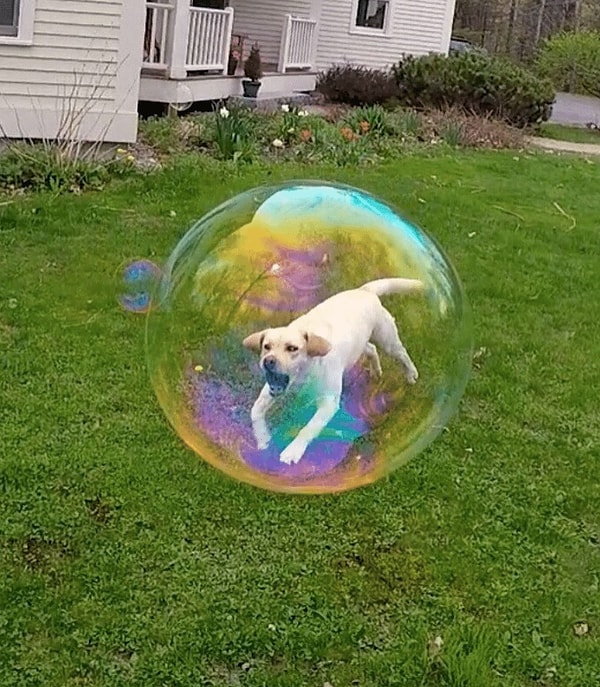 24. Хороший мальчик в пузыре