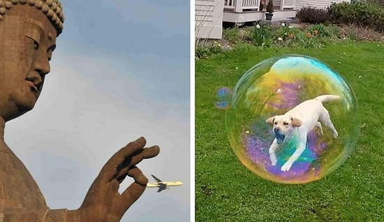 25 идеальных по времени фотографий, на которые надо смотреть дважды