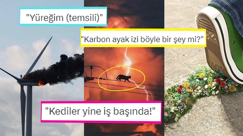 Fotoğraf Çekmek İsterken Yanlışlıkla Rönesans Tablosu Yaratan Kişilerden Muazzam Kareler