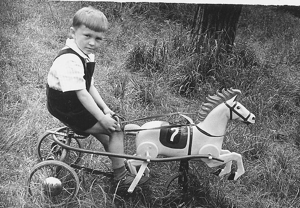 4. Конь педальный