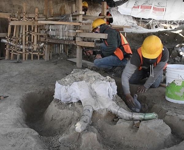 10. Mexico City'de bulunan 14 bin yıllık dev mamut mezarlığı.