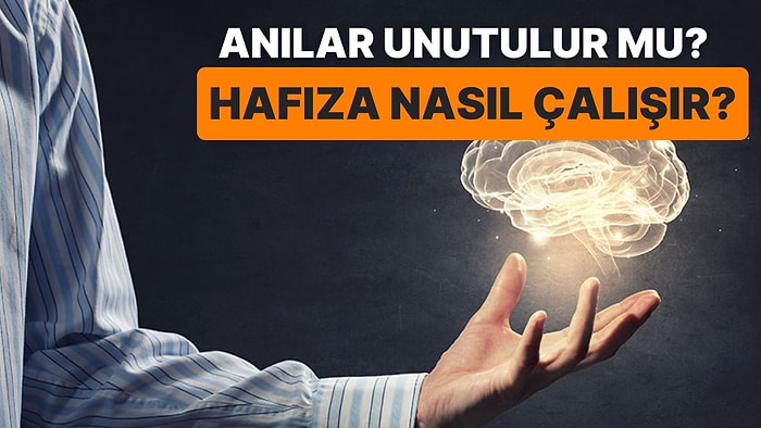 Neden Bazı Anıları Unuturuz ve Hafıza Nasıl Çalışır?