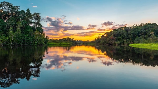 3. Какой цвет бросается в глаза?