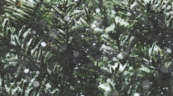 8. И, наконец, какой цвет здесь затмевает остальные?