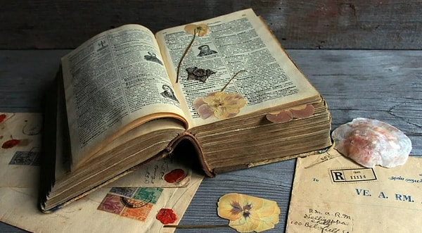 Вы любите читать, но не запойно