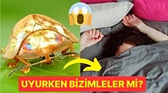 Gerçekten de Uykumuzda Böcek Yiyor muyuz? Uyku Sırasında Vücudumuzda Neler Oluyor?