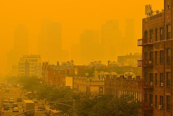 New York Eyaleti Çevre Koruma Departmanı da, New York, Bronx, Brooklyn, Queens ve çevrelerinde bulunan banliyölerde hava kalite sağlık uyarısı yaparak vatandaşlardan gerekli önlemleri almalarını istedi.