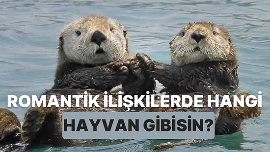 Romantik İlişkilerde Hangi Hayvan Gibisin?